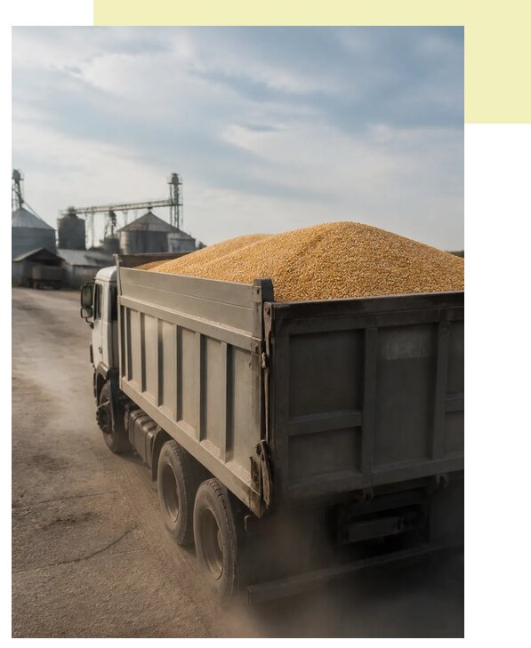 Перевозка сельхозпродукции навалом в Дюртюли по цене от 3128 р. | Агросервис-Дюр