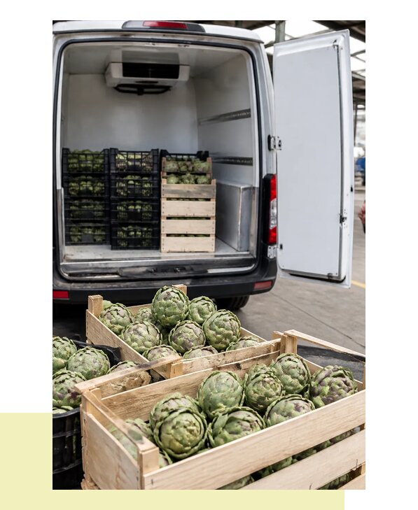 Перевозка артишоков в Дюртюли с соблюдением температурного режима